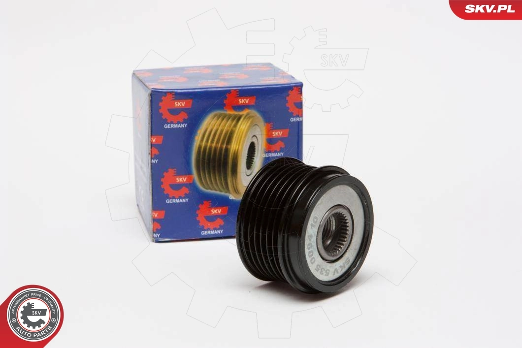 Alternator Freewheel Clutch
